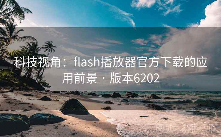 科技视角：flash播放器官方下载的应用前景 · 版本6202