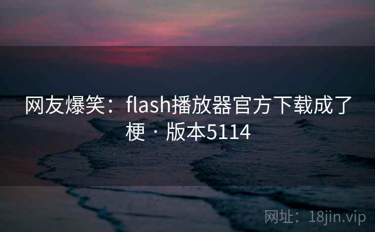 网友爆笑：flash播放器官方下载成了梗 · 版本5114